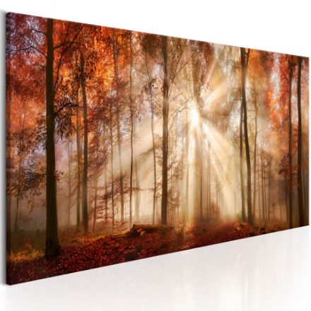 Quadro - Alba Autunnale