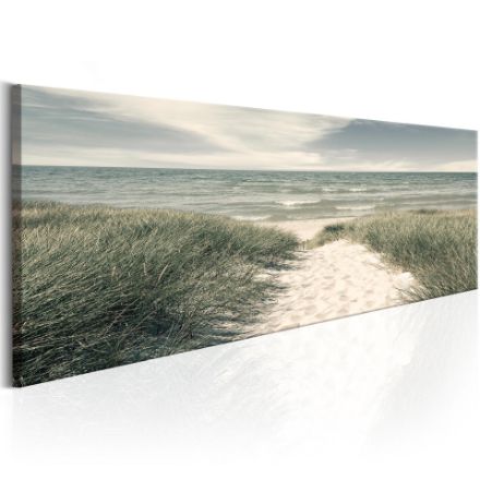 Quadro - I Segreti del Mare