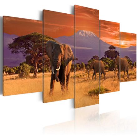 Quadro - Africa : Elefanti