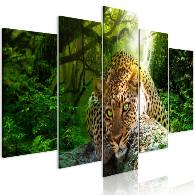 Quadro - Leopardo che giace sul Verde
