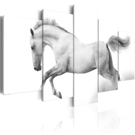 Quadro - Cavallo: passione e liberta'