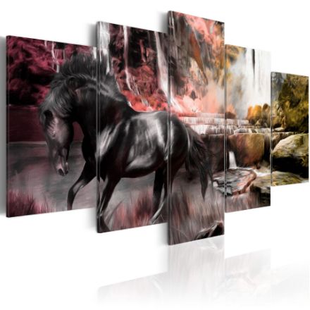 Quadro - Cavallo nero sullo sfondo di un cielo cremisi