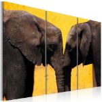 Quadro - Coppia di elefanti che si bacia