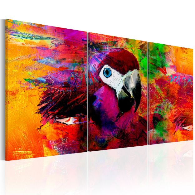Quadro - Giungla dei Colori