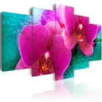 Quadro - Orchidee esotiche
