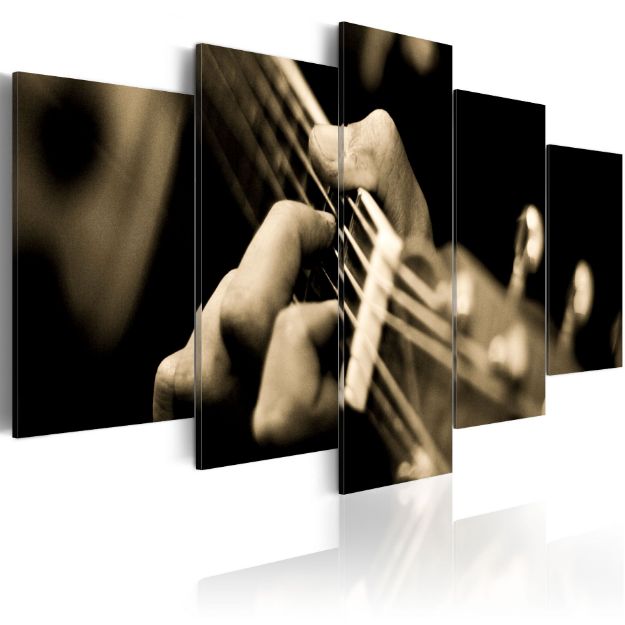 Quadro - Chitarra classica