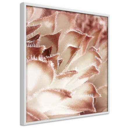 Poster - Fiore Calyx