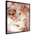 Poster - Fiore Calyx pass-partout