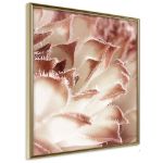 Poster - Fiore Calyx pass-partout