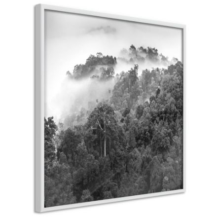 Poster - Foresta nebbiosa