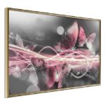 Poster - Momenti come farfalle