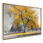Poster - Albero d'oro