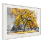 Poster - Albero d'oro