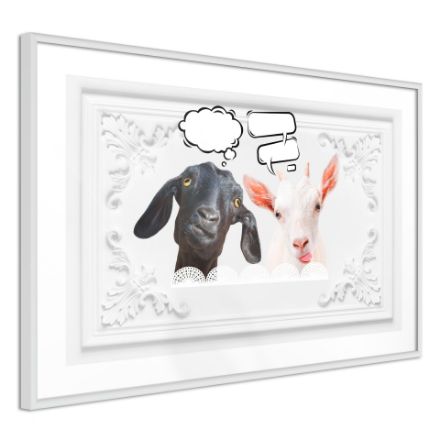 Poster - Conversazione di due capre