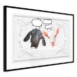 Poster - Conversazione di due capre