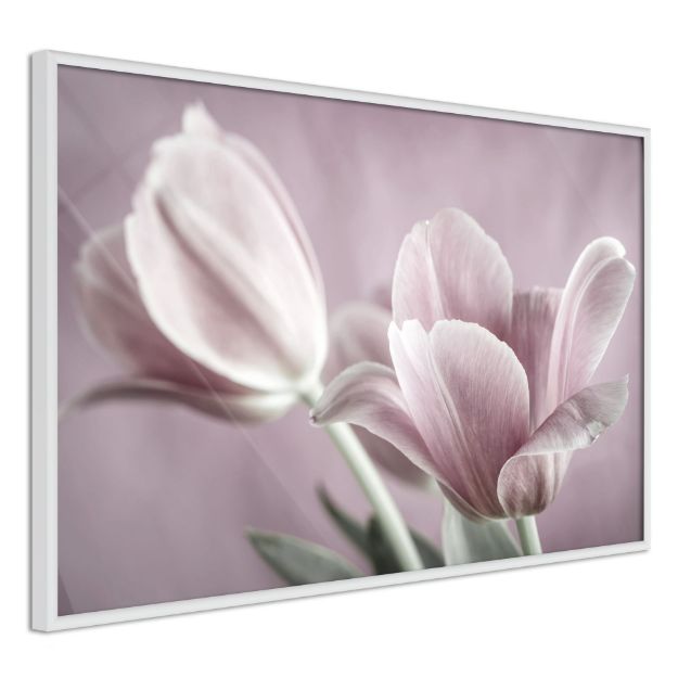 Poster - Tulipani pastello I