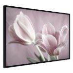 Poster - Tulipani pastello I