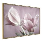 Poster - Tulipani pastello I