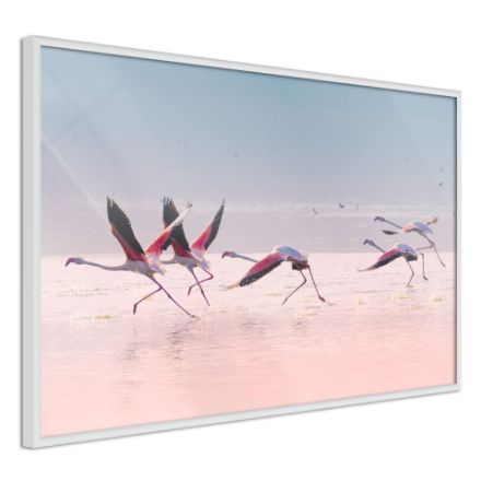 Poster - Fenicotteri irrompono in un volo