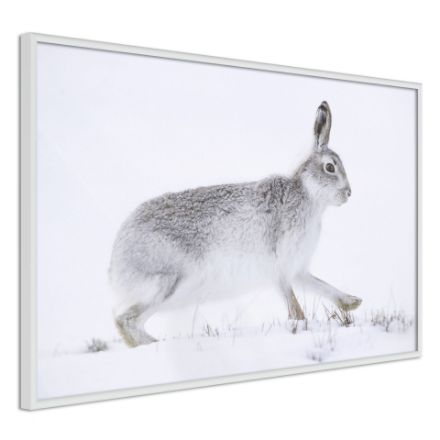 Poster - Fuga nella neve