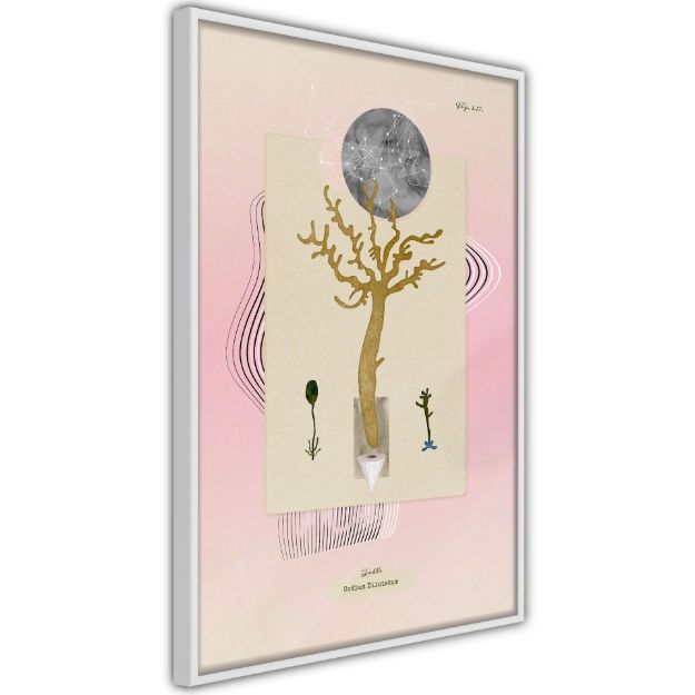 Poster - Pianta acquatica