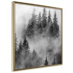 Poster - Paesaggio Oscuro