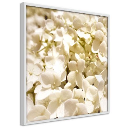 Poster - Fiori lenitivi
