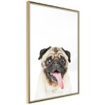 Poster - Carlino divertente