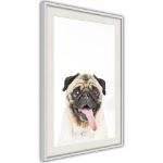Poster - Carlino divertente
