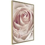 Poster - Rosa con un messaggio 
