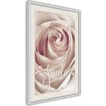 Poster - Rosa con un messaggio 