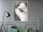 Poster - Occhio Azzurro