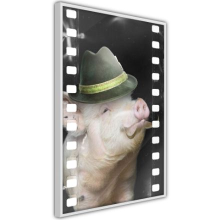 Poster -  Porcellino vestito