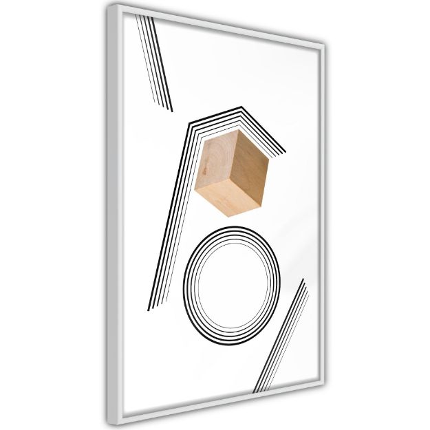 Poster - Cubo in una trappola