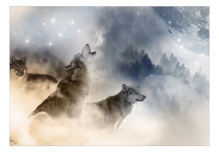 Fotomurale adesivo - Pack