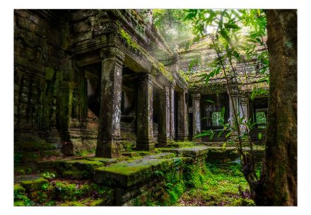 Fotomurale adesivo - Preah Khan