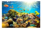Fotomurale adesivo - Terreni sott'acqua