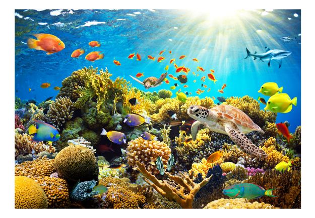 Fotomurale adesivo - Terreni sott'acqua
