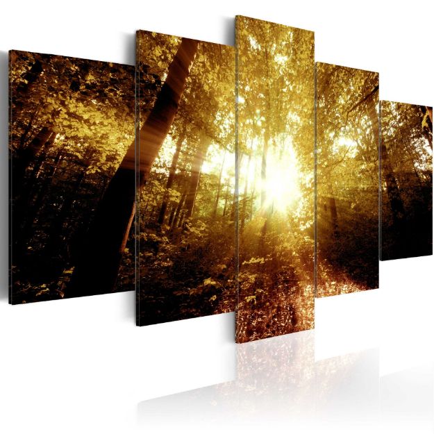 Quadro - Foresta autunnale