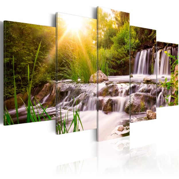Quadro - Cascata della Foresta