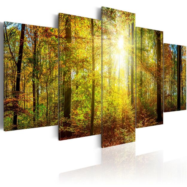 Quadro - Foresta mistica
