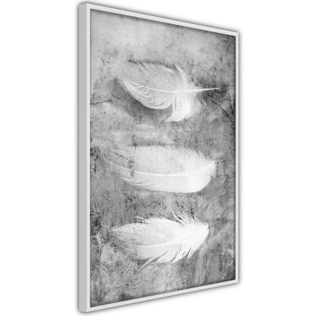 Poster - Piume delicate