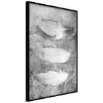 Poster - Piume delicate