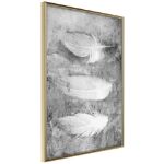 Poster - Piume delicate