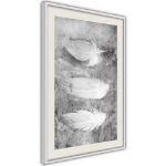 Poster - Piume delicate
