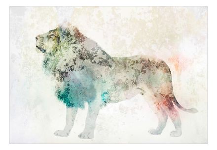 Fotomurale - Re Colorato