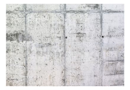 Fotomurale - Muro di Cemento