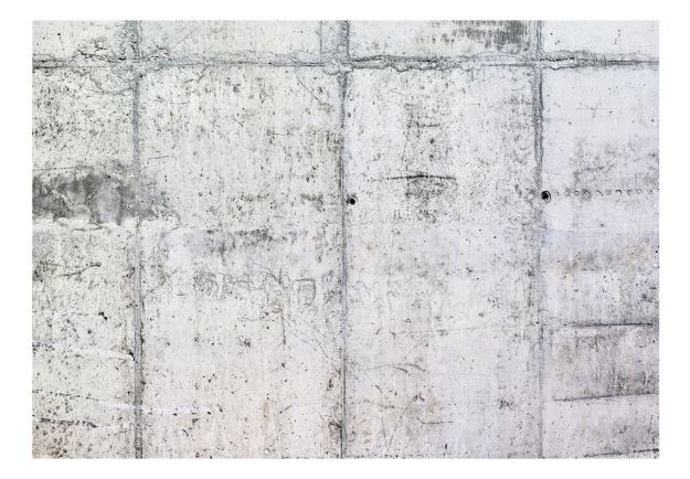 Fotomurale - Muro di Cemento
