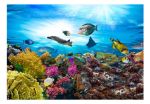 FotoMurale -  Barriera corallina