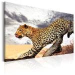 Quadro - Sguardo predatorio